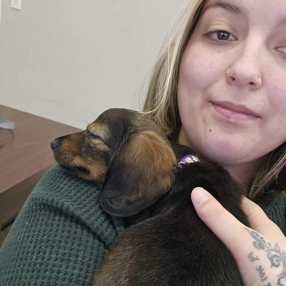 Meet your Posher, Natalie